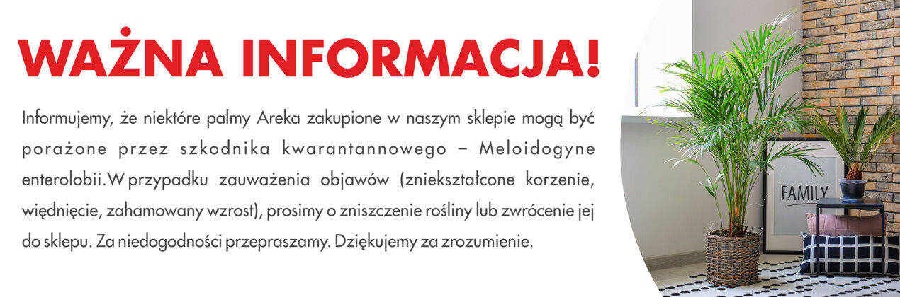 zdjęcie na stronie głównej